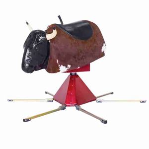 opzetstuk-rodeostier-huren