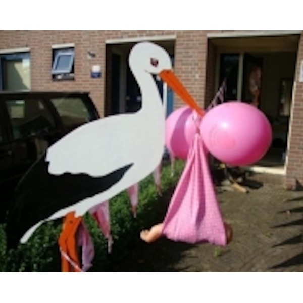 geboorte-ooievaar-huren